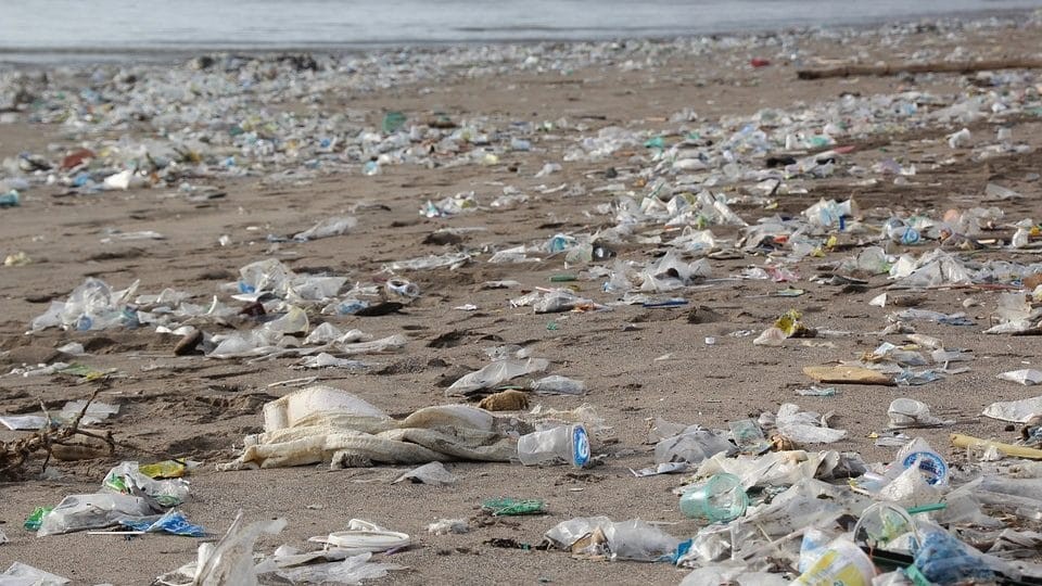 Waste Colonialism Hits Home: Iowa's Recycled Trash Is Ending Up in India's Landfills