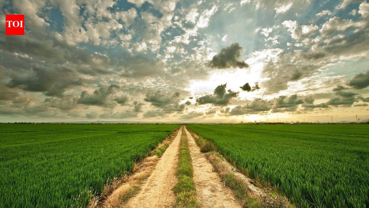 Iowa Buyers Join $22.5M Farmland Auction as Indiana Tracts Hit $32,600 an Acre