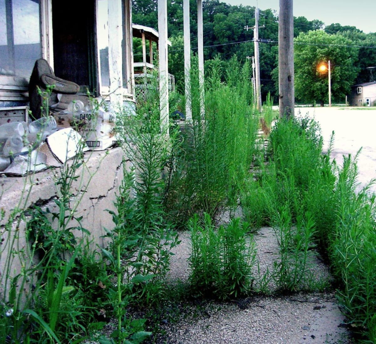 Elkport: The Iowa River Town a 2004 Flood Erased From the Map