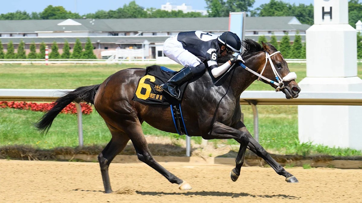 Iowa Trainer Kelli Martinez Takes Prairie Meadows Success to Ohio